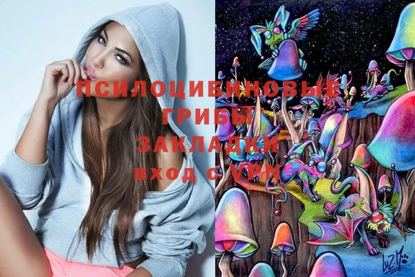 apvp Абинск