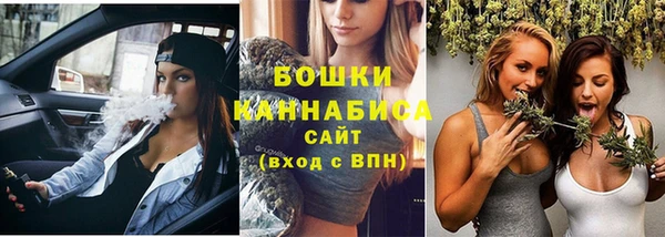прущий лед Абаза