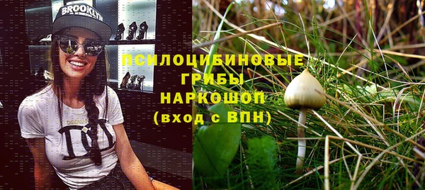 прущий лед Абаза