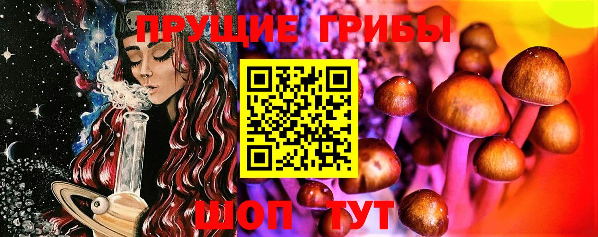 Галлюциногенные грибы Psilocybe  Вход с VPN  Кохма  Псилоцибиновые грибы мицелий 