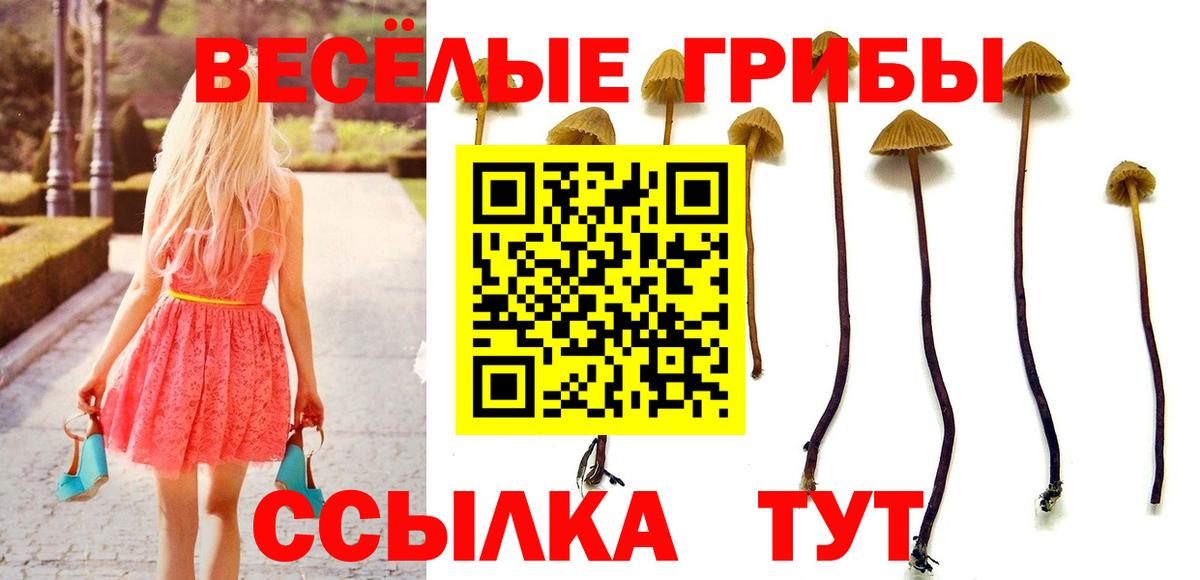 Галлюциногенные грибы мицелий Кохма